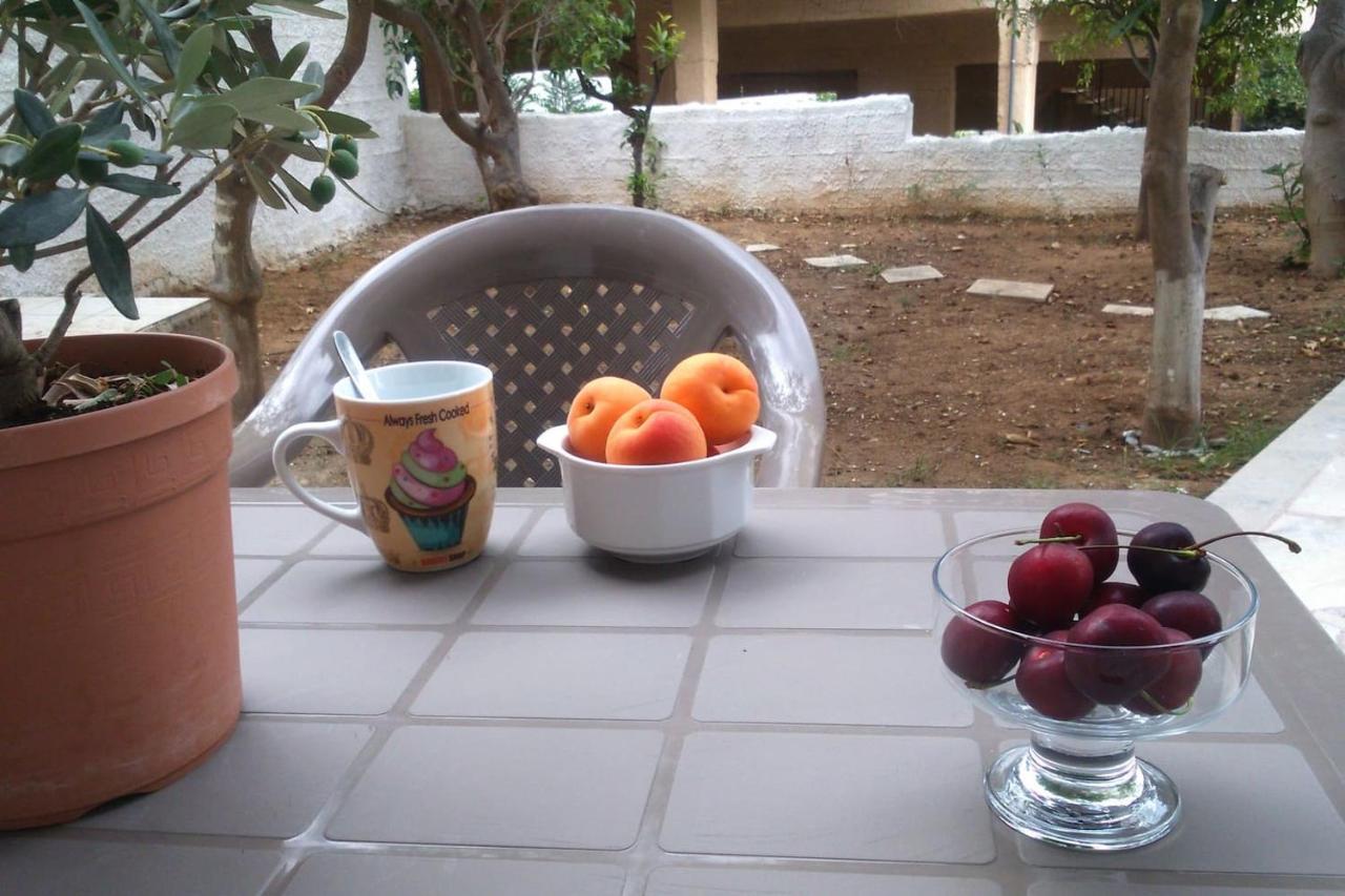 Tolo Beach Studios المظهر الخارجي الصورة
