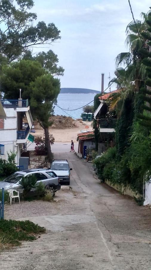 Tolo Beach Studios المظهر الخارجي الصورة